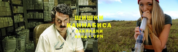 spice Богданович