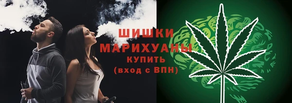 spice Богданович