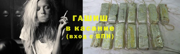 spice Богданович