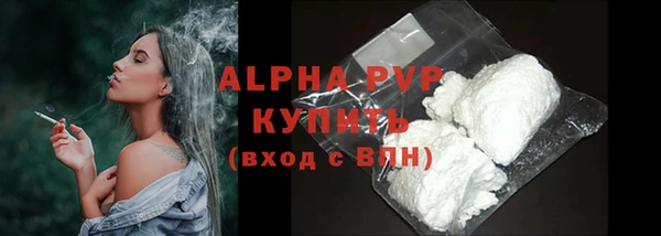 spice Богданович