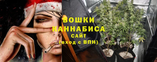 spice Богданович