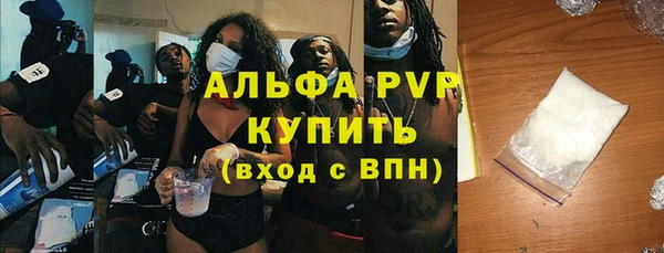 spice Богданович